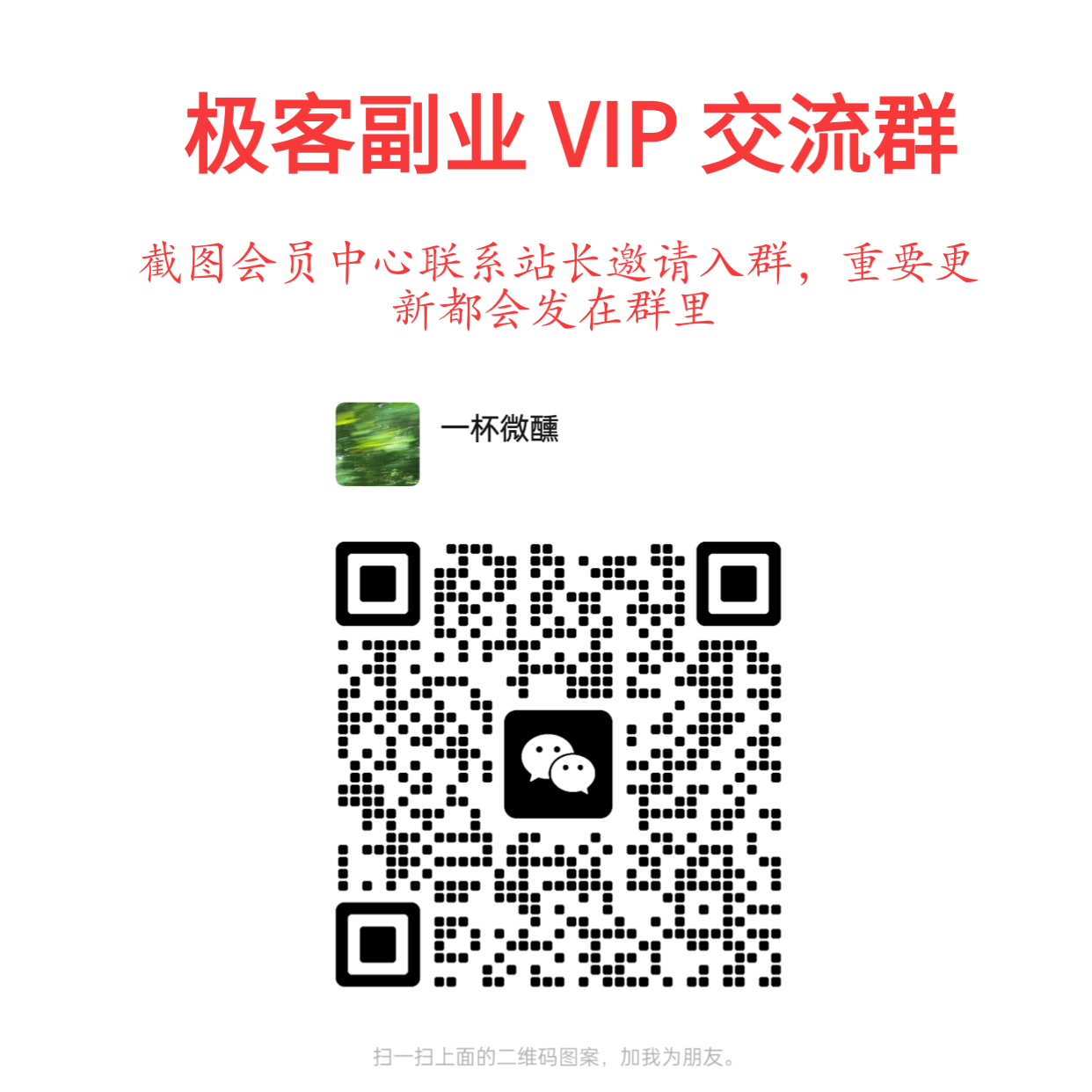 极客副业站【VIP会员专属交流群】-极客副业站