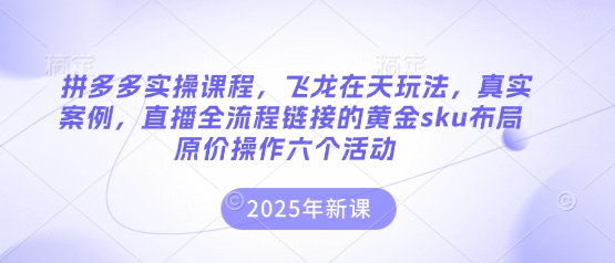 拼多多实操课程，飞龙在天玩法，真实案例，直播全流程链接的黄金sku布局原价操作六个活动-极客副业站