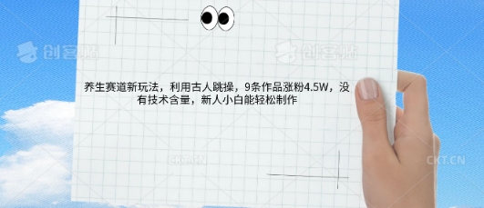 AI养生赛道新玩法，10条作品涨粉5.2W，操作简单，新人小白能轻松制作-极客副业站