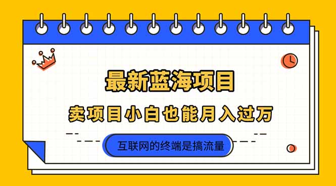 （14289期）2025年最新蓝海项目，卖项目小白也能月入过万-极客副业站