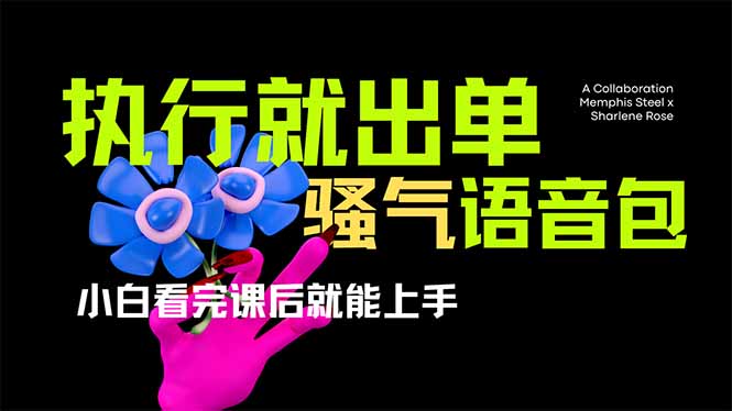 （14170期）爆火全网的开车导航骚气语音包,只要执行就出单，小白看完课程就能实操...-极客副业站