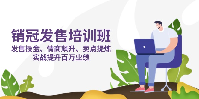 （14203期）销冠 发售培训班：发售 操盘+情商 飙升+卖点 提炼，实战提升百万业绩-极客副业站