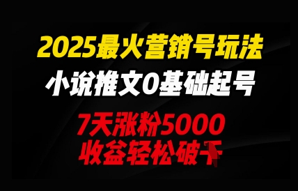 2025最火营销号玩法：小说推文0基础起号，7天涨粉5000，收益轻松破k-极客副业站