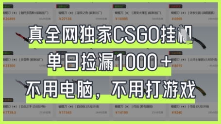 真全网独家CSGO挂G，单日捡漏1k+【揭秘】-极客副业站