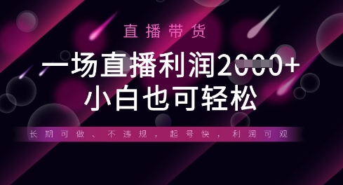 半无人直播带货，一场利润数张，适合所有平台玩法，小白也可轻松-极客副业站