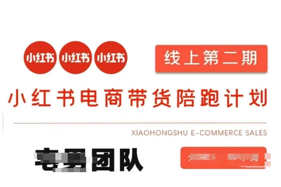 小红书电商带货课2期，月利润20个的小红书电商的有货源，无货源，虚拟产品，付费投流等整套玩法-极客副业站